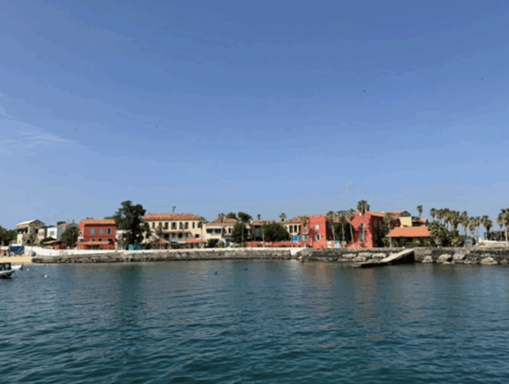 セネガルメイン