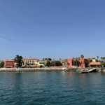 セネガルメイン